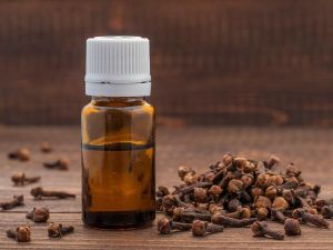 clove bud essential oil