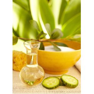 Cucumber Carrier Oil