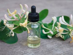 Honeysuckle Essential Oil