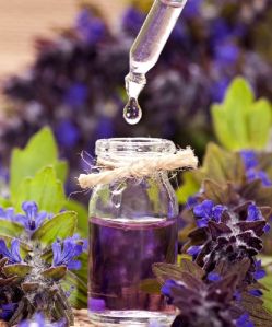 Lavender Extract