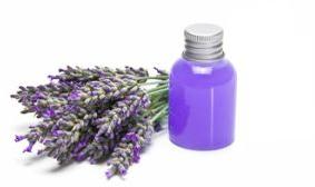 Lavender Indian Essential Oil