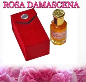 Rose Damascena Absolute Oil