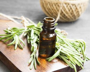 Rosemary Extract