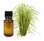 Vetiver Hydrosol