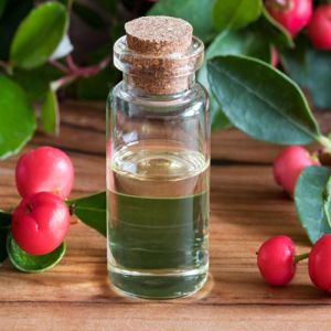 Wintergreen Essential Oil