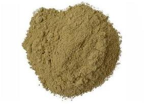 Organic Bhumi Amla Extract Powder