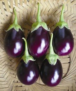 Fresh Brinjal