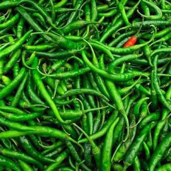 Fresh Green Chilli