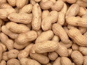 Shelled Groundnut