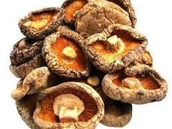 Dry Shiitake Mushroom