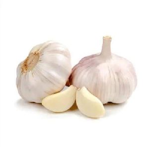 Fresh Garlic Bulbs