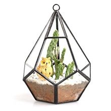 gold copper glass terrarium geometric