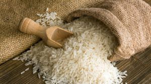 Short Grain Basmati Rice