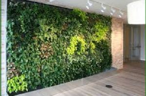 Green Wall Installation Services