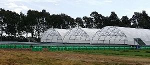 greenhouse services