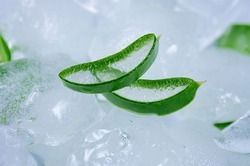 Natural Aloe Vera Pulp