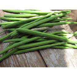 Organic Moringa Drumsticks