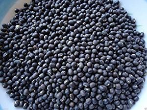 Black Urad Beans