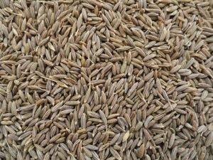 Cumin Seeds