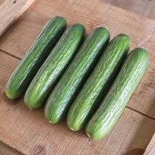 Fresh Cucumber