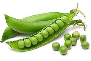 Fresh Green Pea