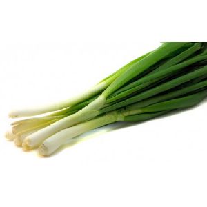 Fresh Green Shallots