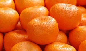 Fresh Orange