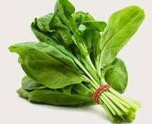 Fresh Spinach Leaves