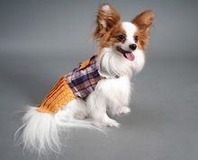 Colorful Pet Puppy Dog Raincoat