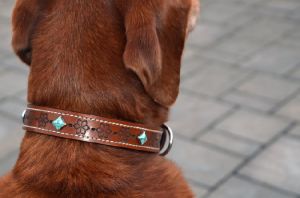 Gemstone Studded Leather Dog Collars