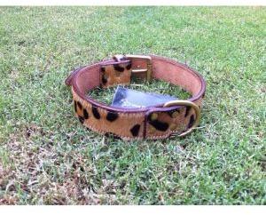 leather pet collars