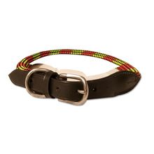 Pet training safety dog collar
