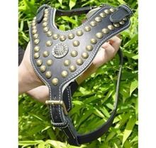 Spiked Stud Leather Dog