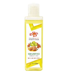 H and H Dry Hair Shampoo
