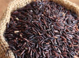 Organic black rice