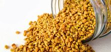 Fenugreek