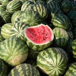 organic watermelon