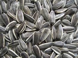 Sunflower Seed Shell