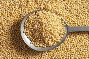 Natural Barnyard Millet Seed