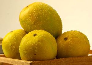 Natural Kesar Mango