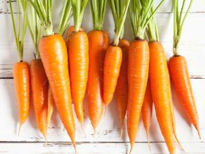 Fresh Carrot