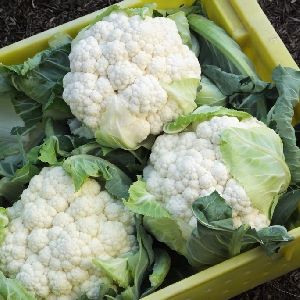 organic cauliflower