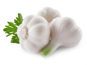 Organic Garlic