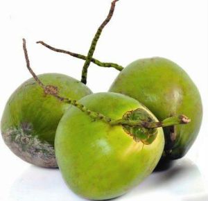 Green Tender Coconut