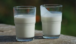 Plain Lassi