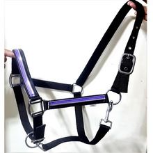 Blue and silver strap black nylon horse halter