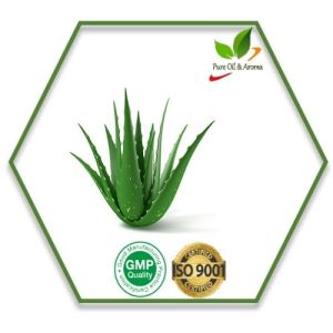 Aloe Vera Oil