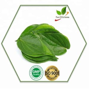 betel leaf essential oil