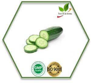 Cucumber Seed Carrier Oil