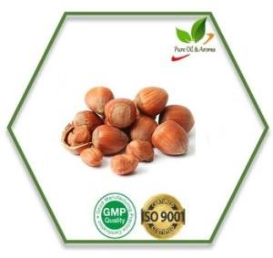 Hazelnut Carrier Oil